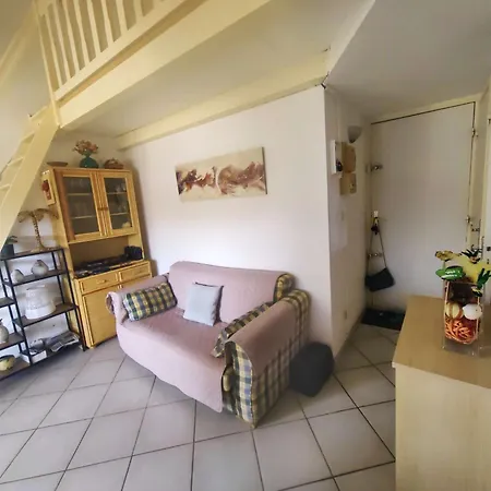 Apartment T2 Climatise Avec Piscine Et Parking, Cap D'agde, Pres De La - Fr-1-607-226 *