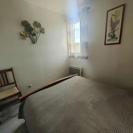 T2 Climatise Avec Piscine Et Parking, Cap D'agde, Pres De La - Fr-1-607-226 Apartment Agde