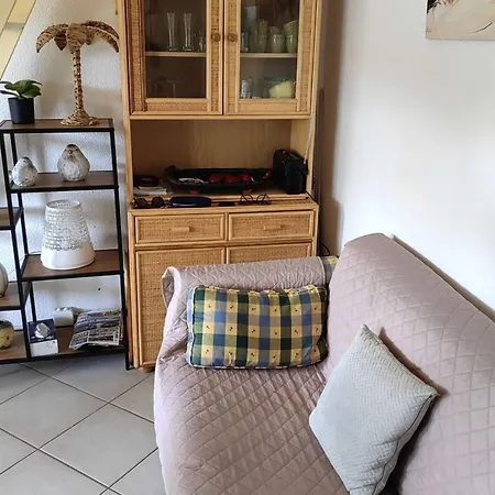 Apartment T2 Climatise Avec Piscine Et Parking, Cap D'agde, Pres De La - Fr-1-607-226 *